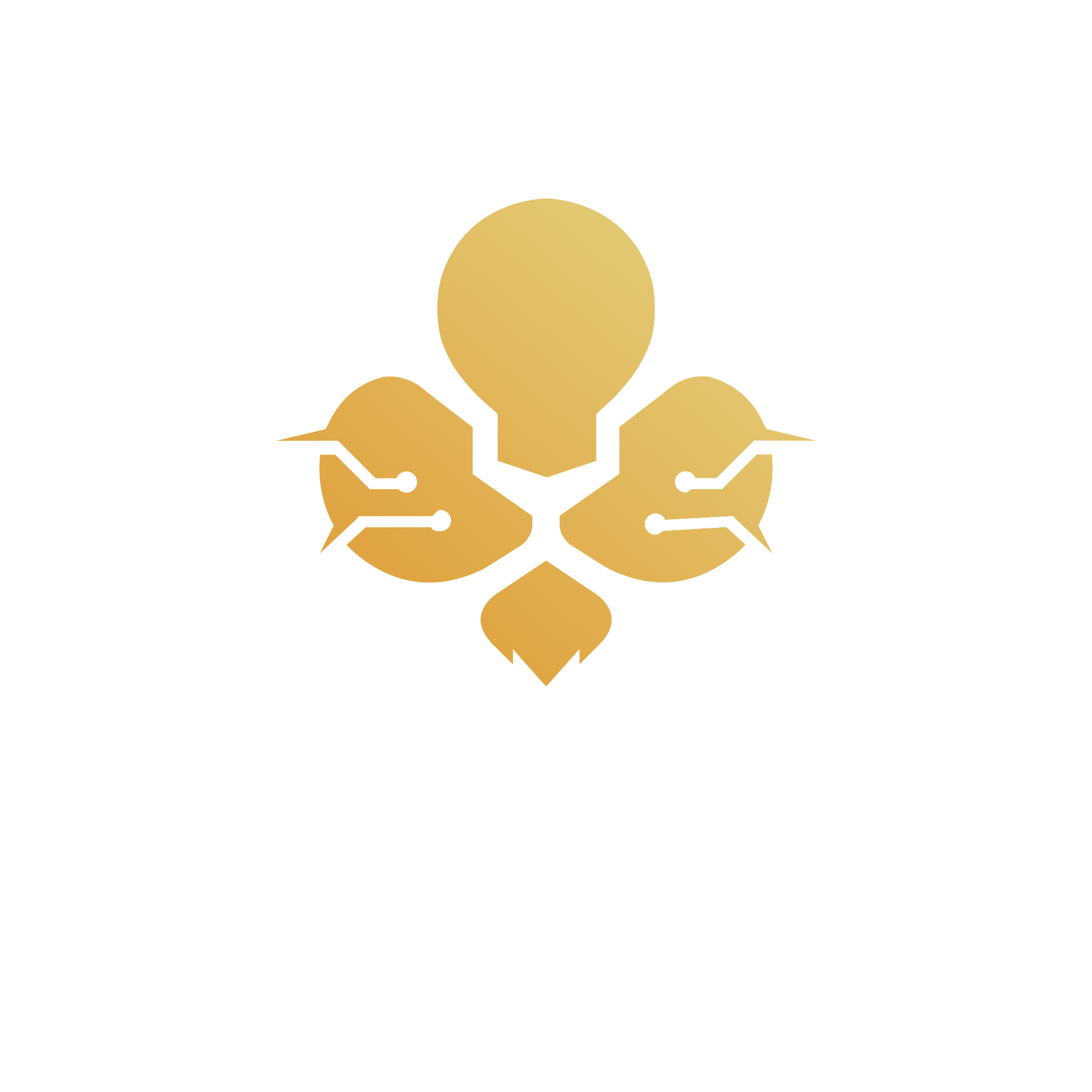 DS Negócios